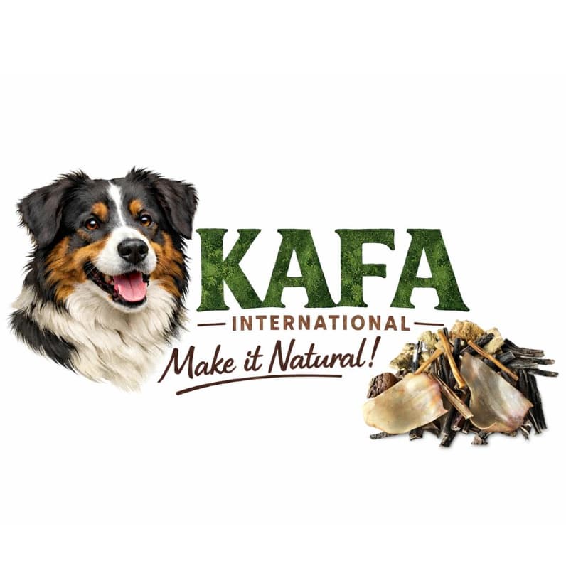 KAFA INTERNATIONAL logo