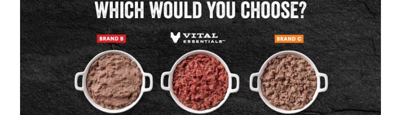 Vital Essentials Carnivore Meat Company LLC