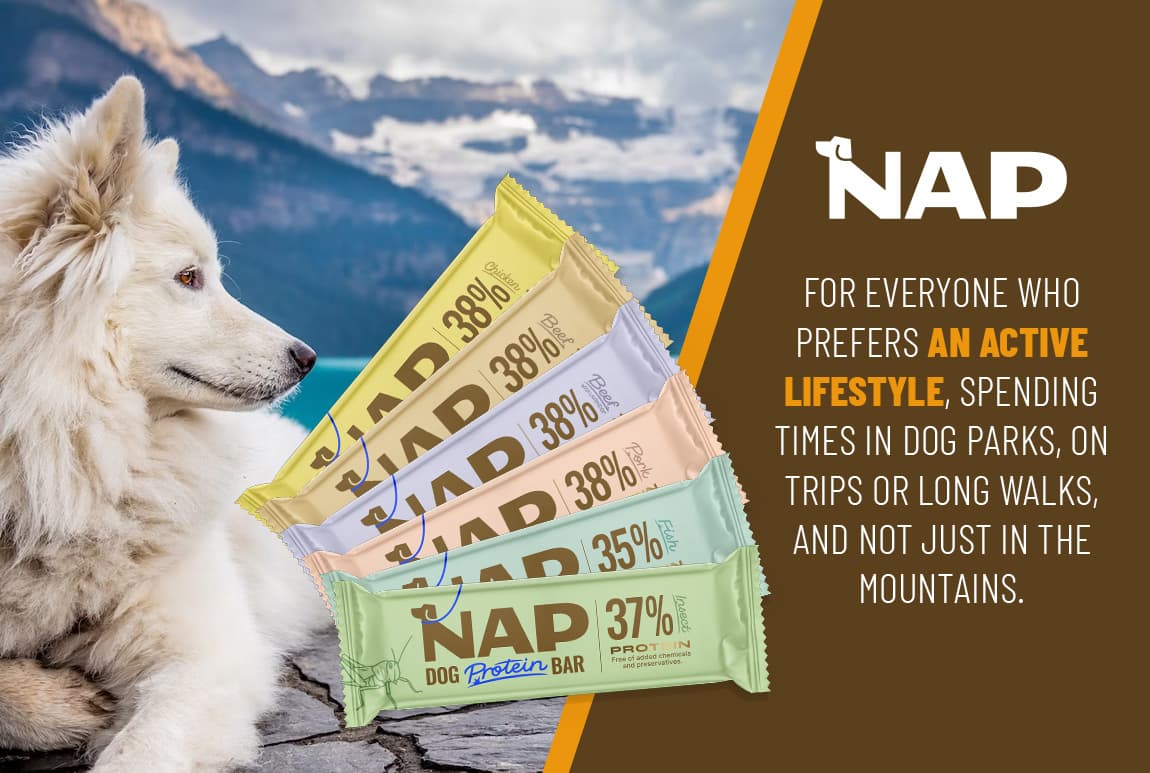 NAP Food s.r.o.