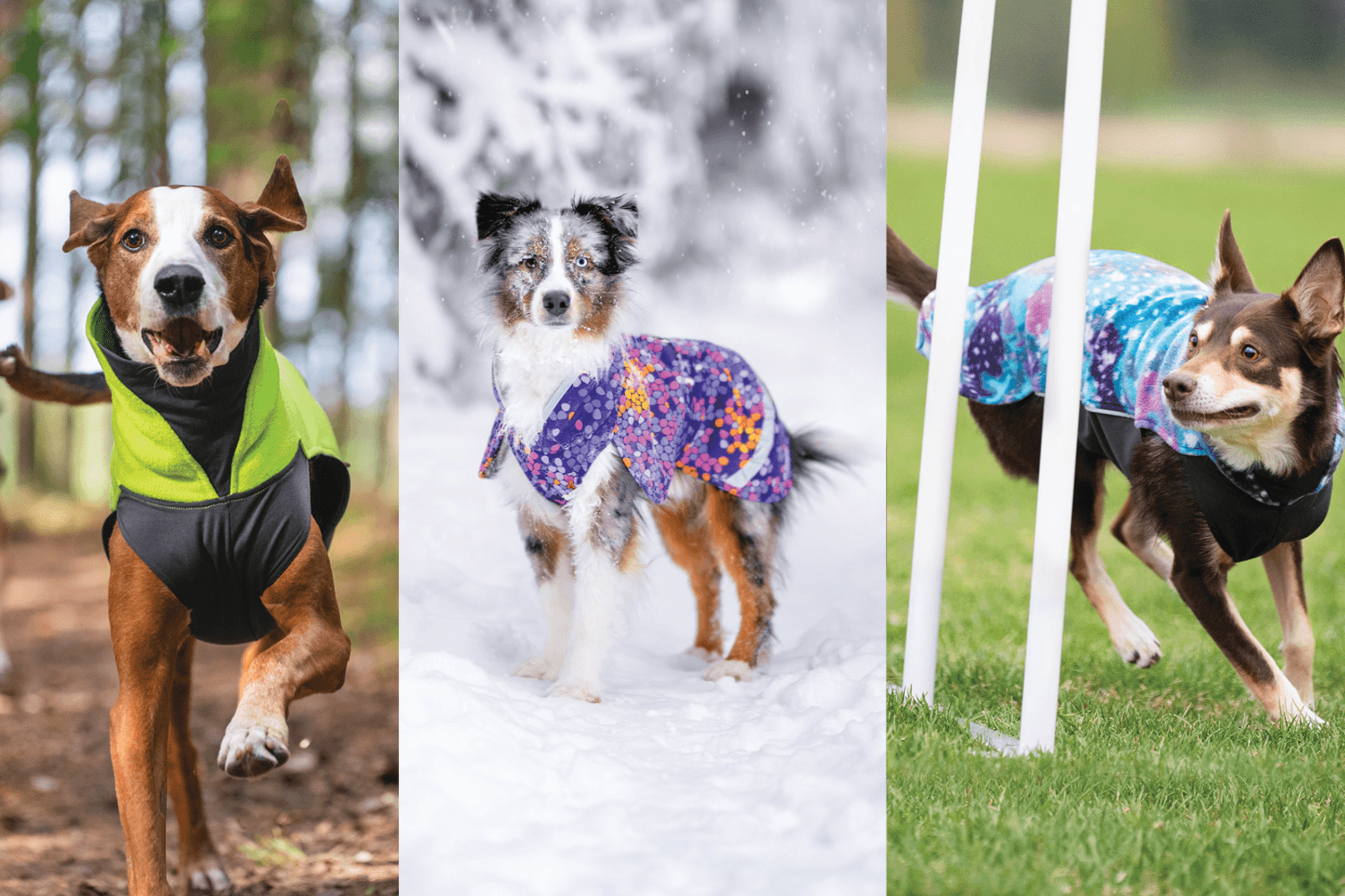 Pomppa Dogwear