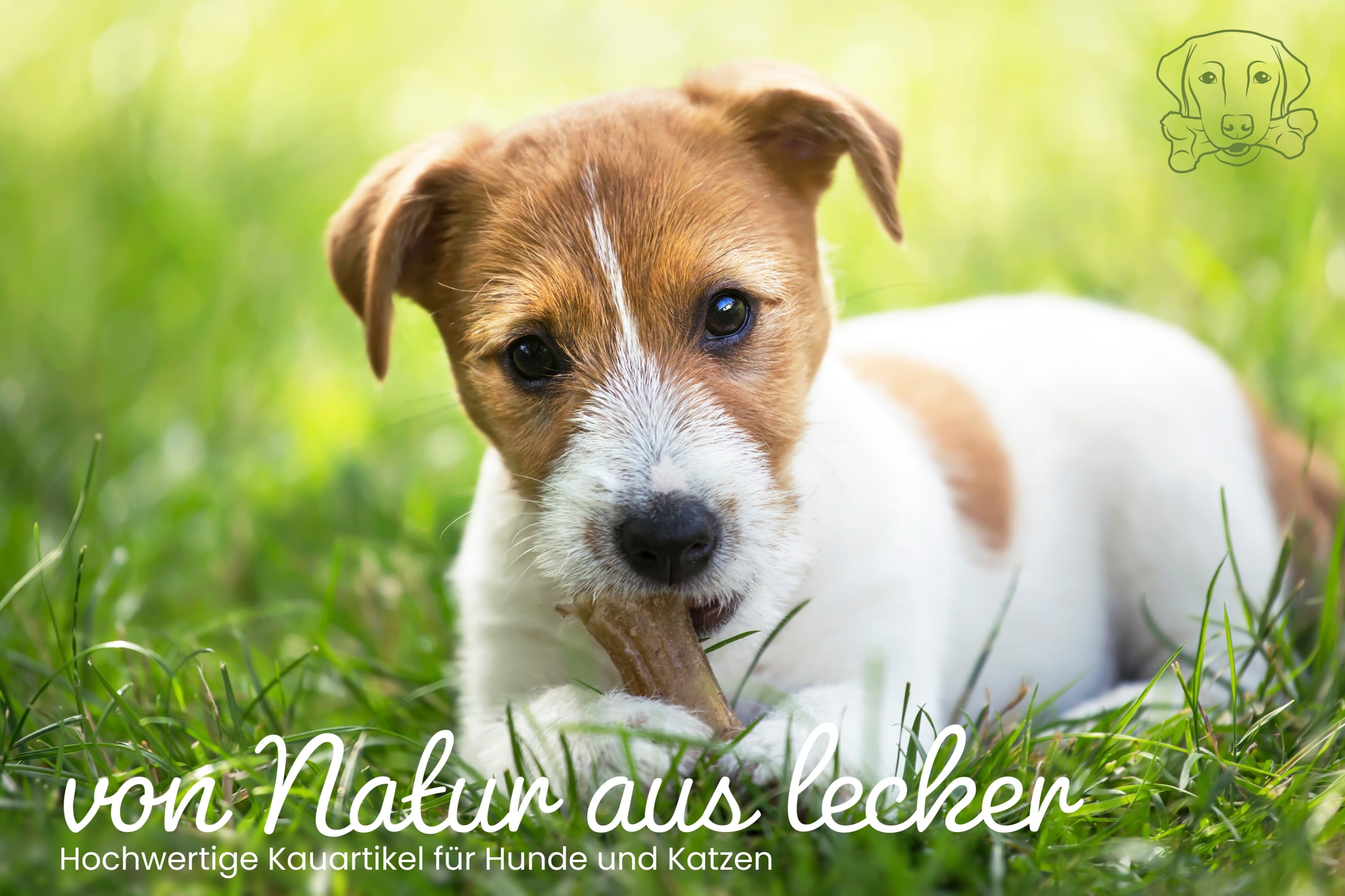 Kauartikel.com GmbH