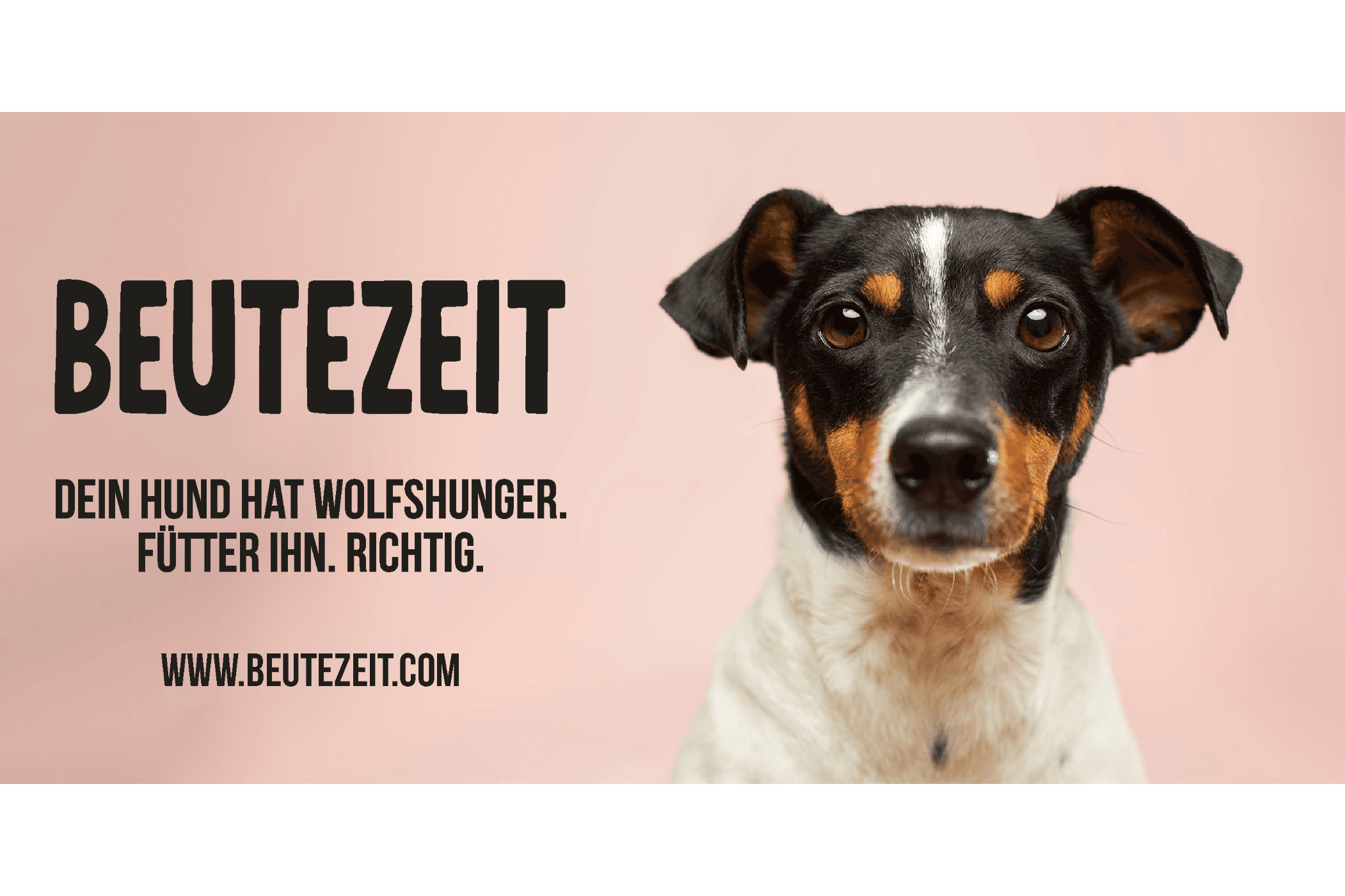 Beutezeit Thomas Schurig