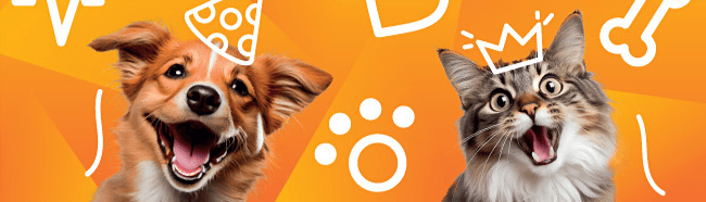 Noviko Animal Health s.r.o.