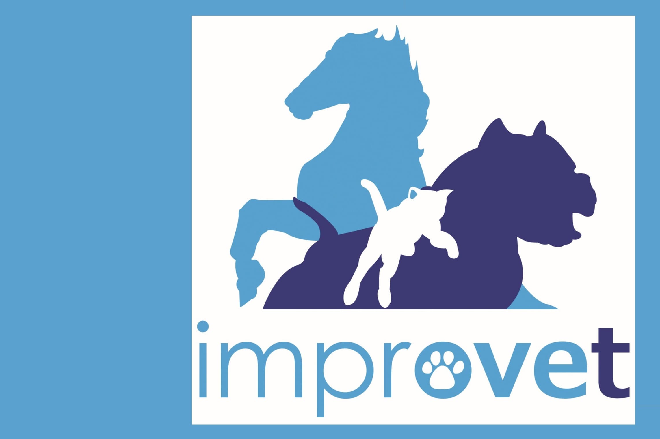IMPROVET S.R.L.