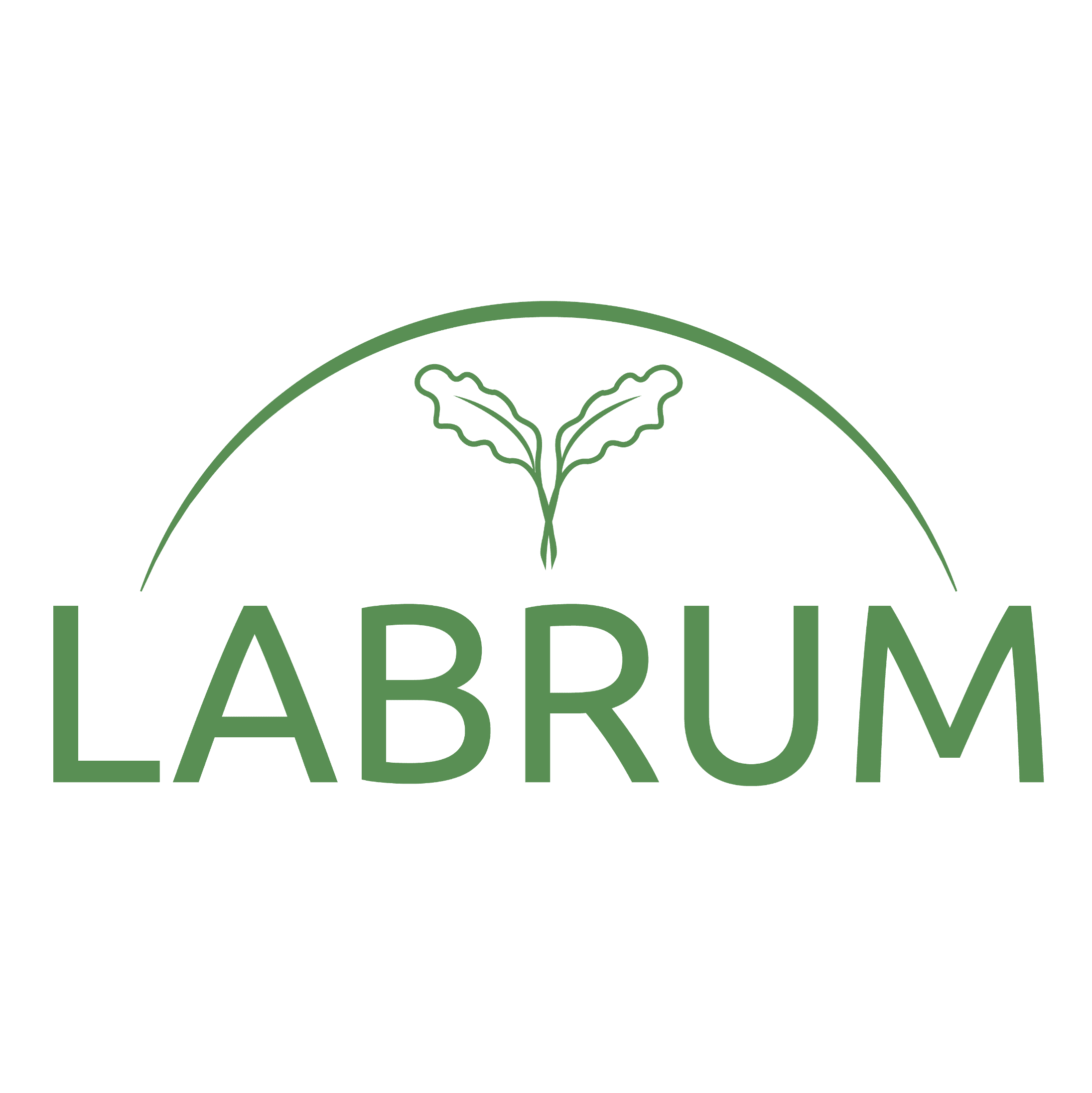 Labrum Colmena S.L. logo