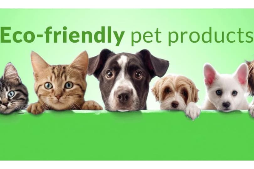 Bpets