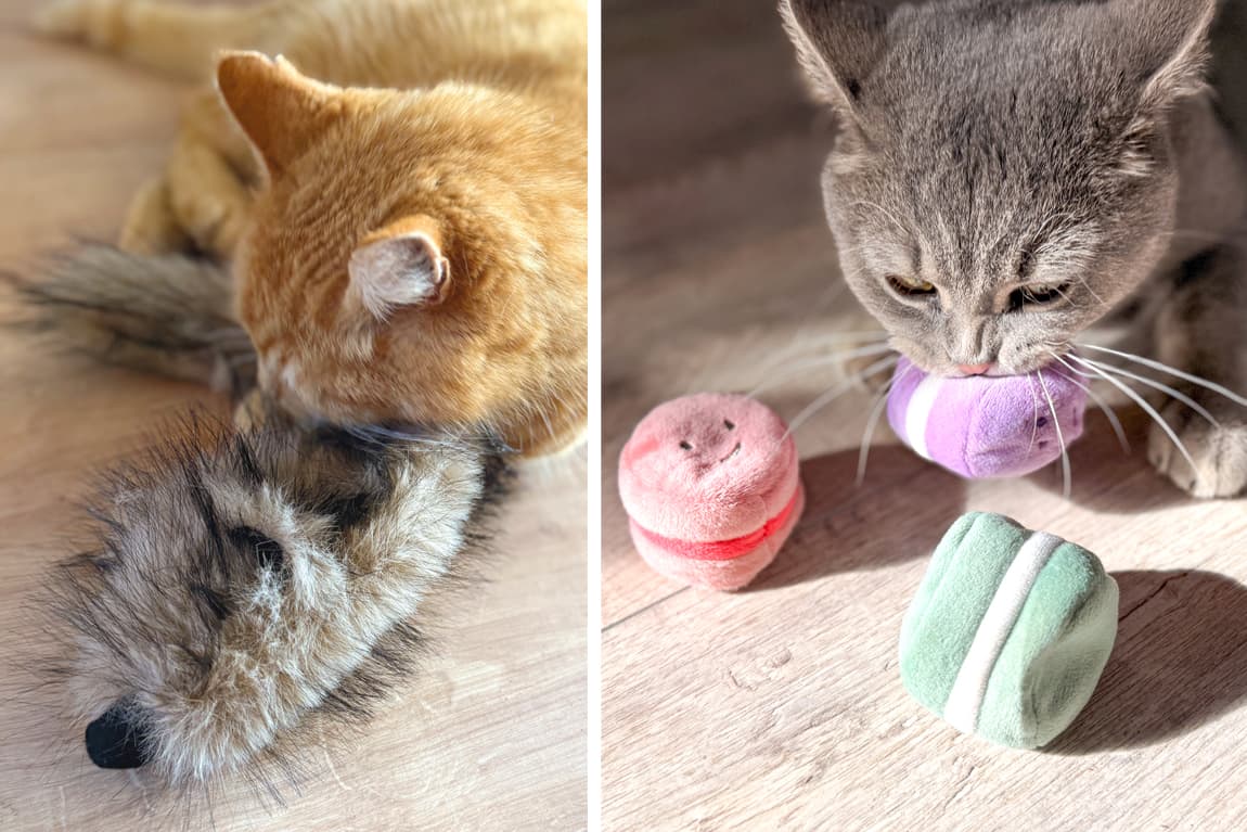 Aumüller Korbwaren GmbH & Co. KG