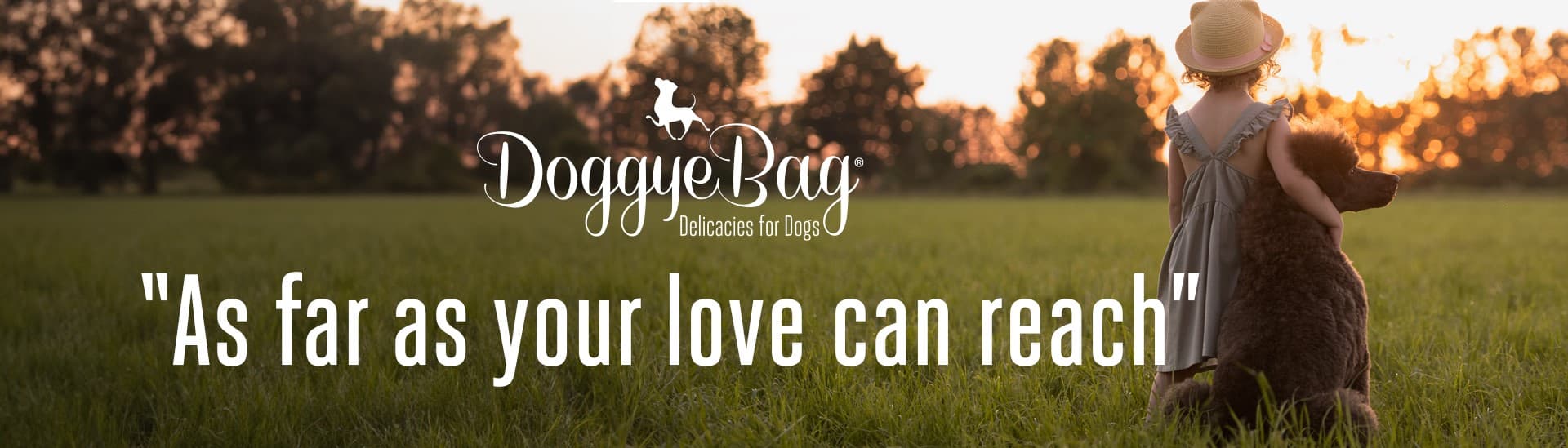 DoggyeBag