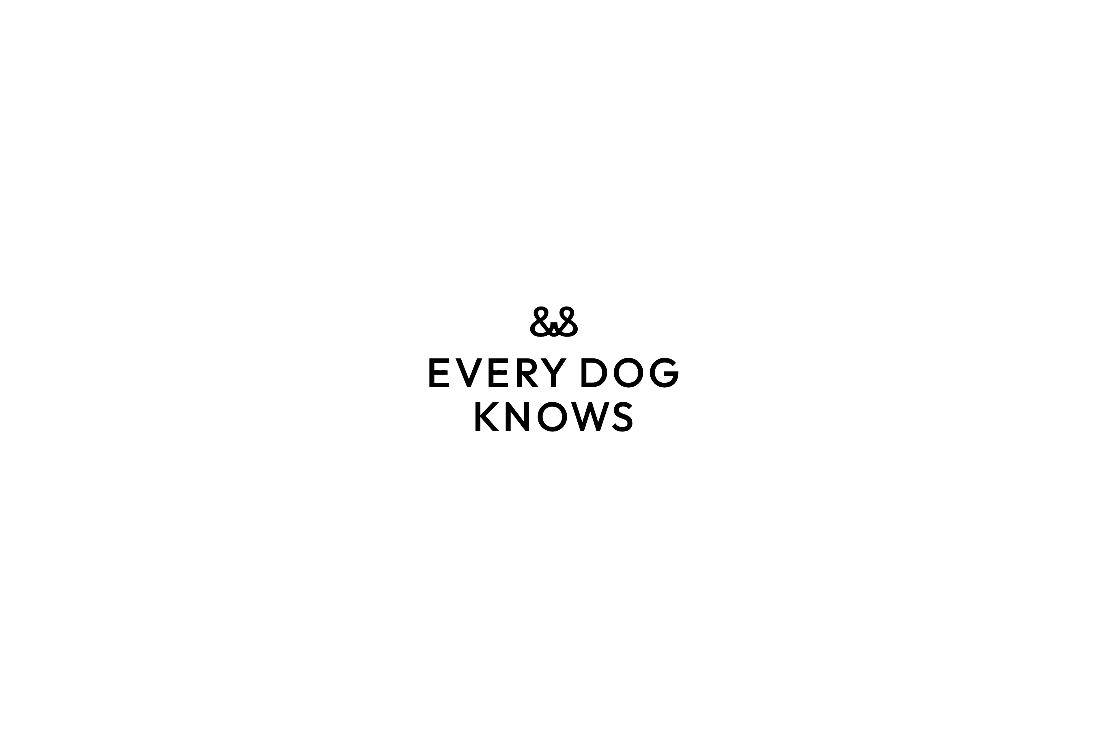 Every Dog Knows