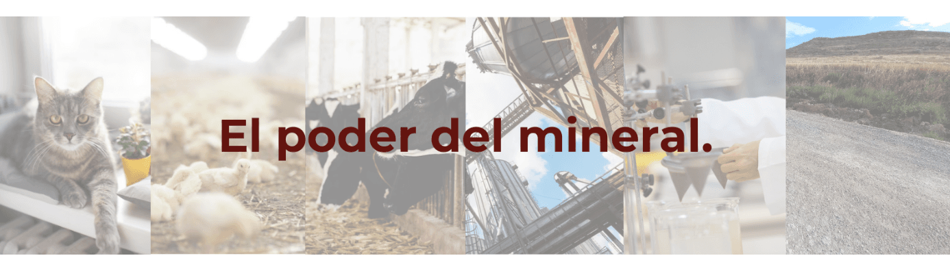 S.A. de Minería y Tecnología de Arcillas