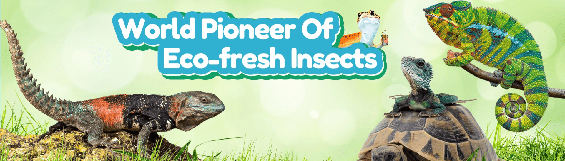 Probugs Feeds(Hunan Haikun Agricultural Science And Technology Co., Ltd)