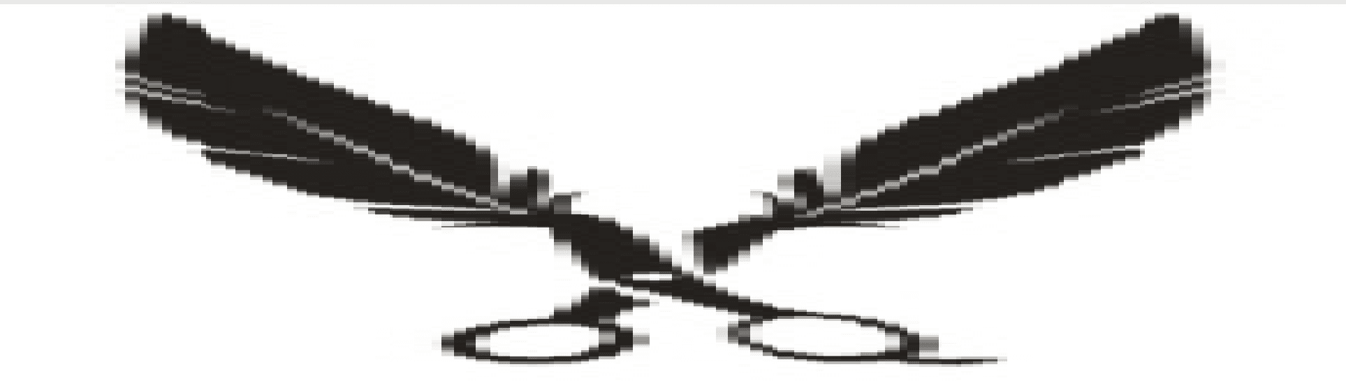 ZHANGJIAGANG HAIBA TOOLS CO.,LTD