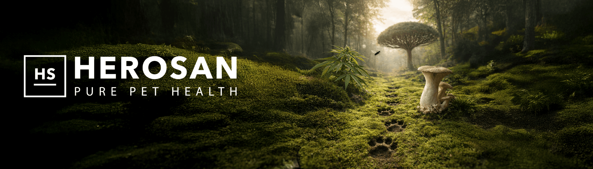 HEROSAN healthcare GmbH