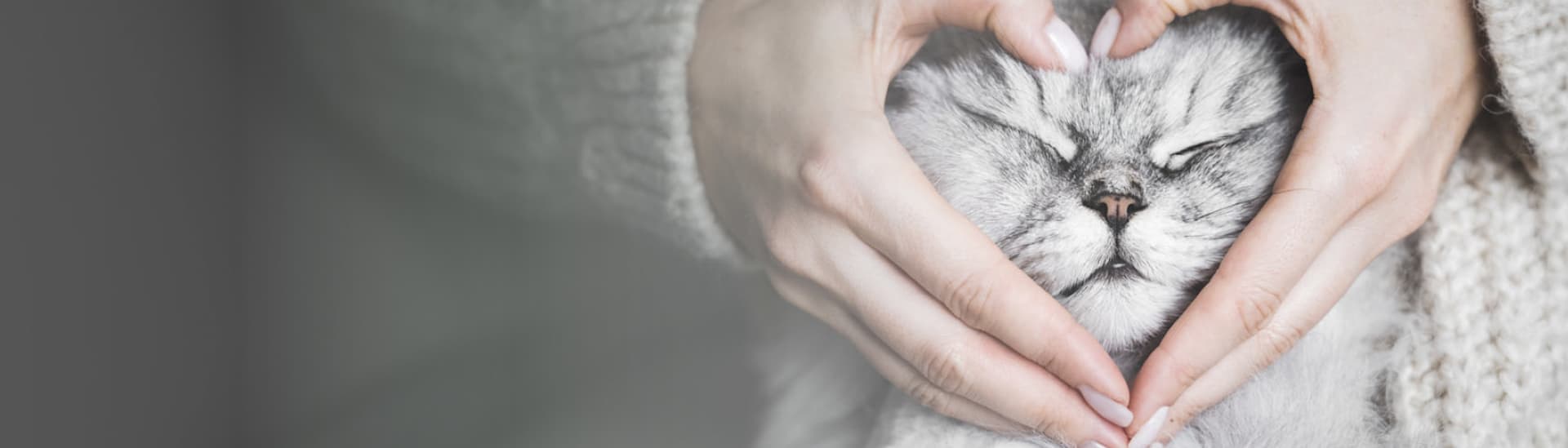 VET PLANET Ltd. (VET EXPERT)