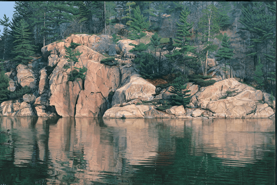 Boreal Pet Food