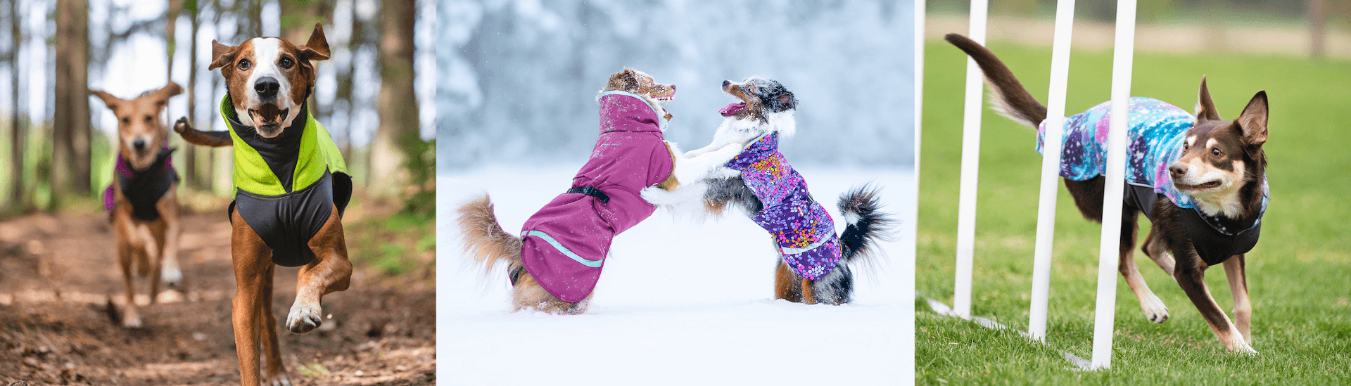 Pomppa Dogwear