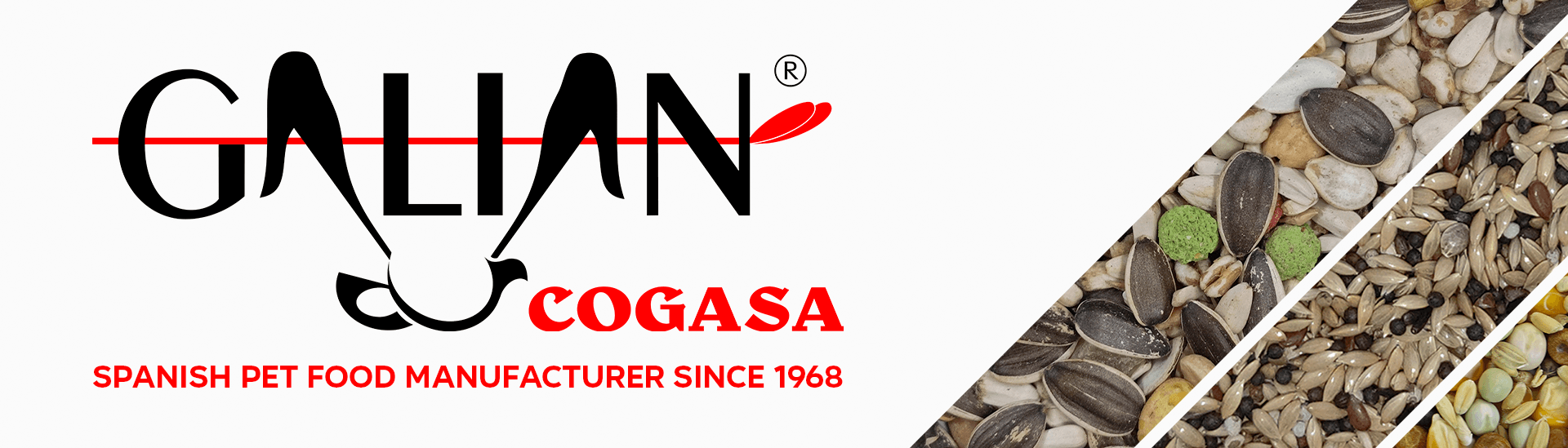 Galian Cogasa S.L.