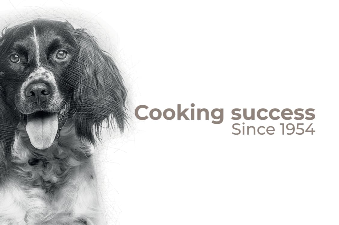 Avenal Petfood S.A.