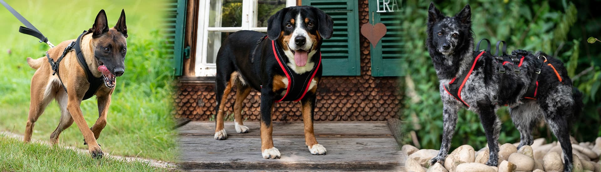 Beat Grossenbacher GmbH