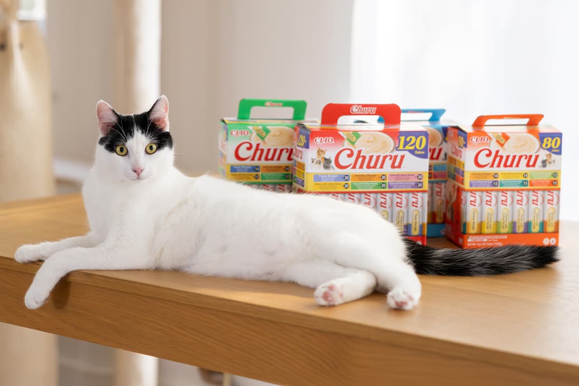 Inaba Foods Co., Ltd.