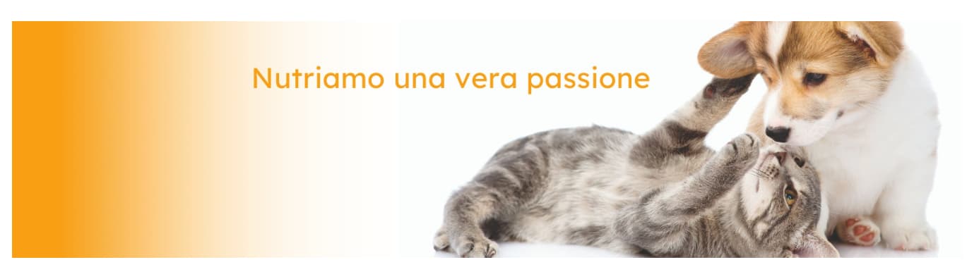 Gheda Petfood