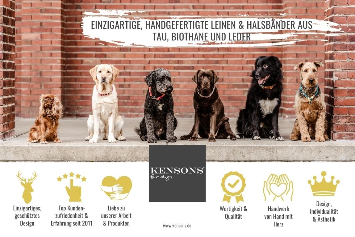 KENSONS for dogs GmbH