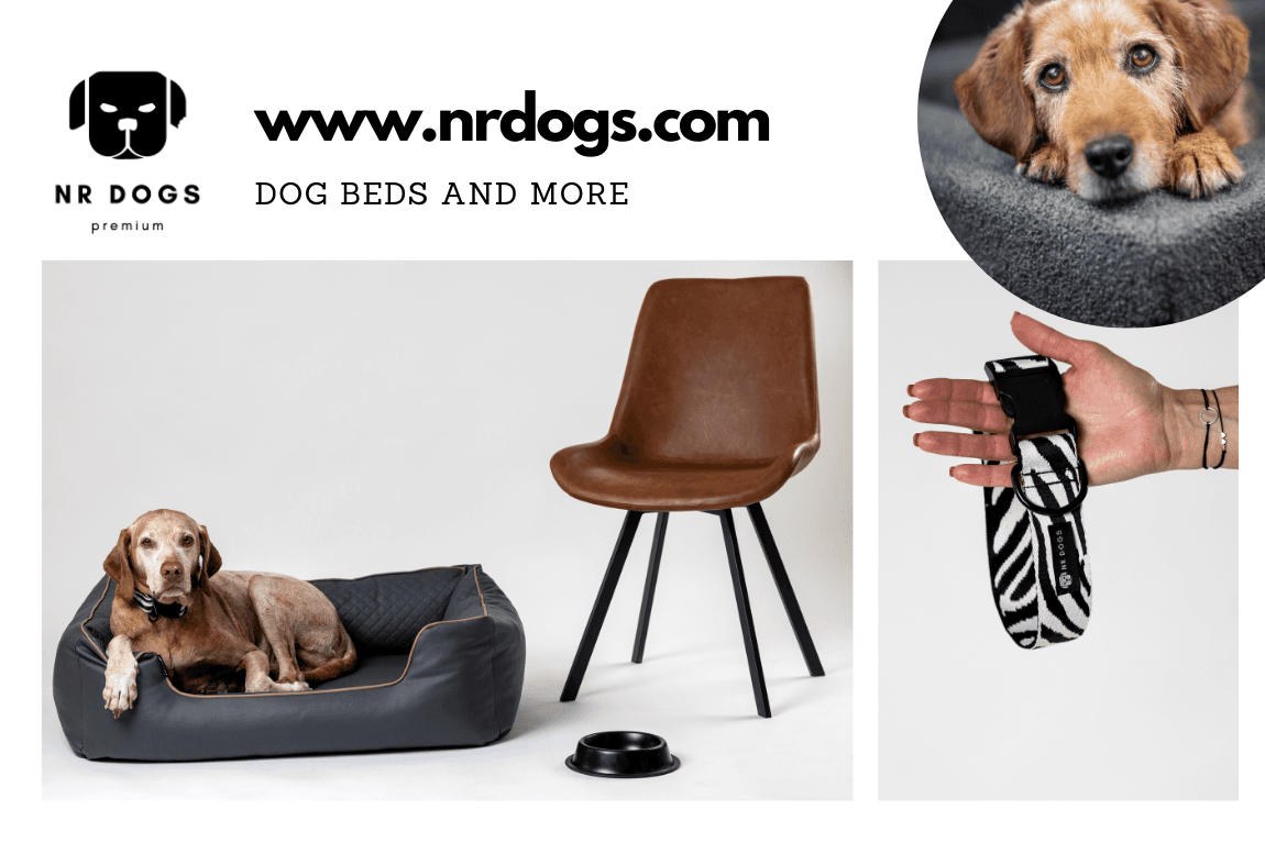 NRDOGS / Sofa Dress Kft.