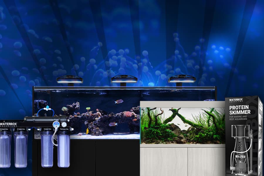 Waterbox Aquariums