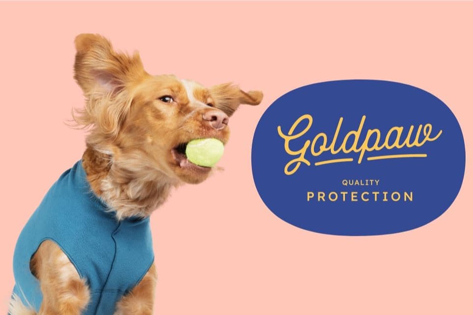 GoldPaw