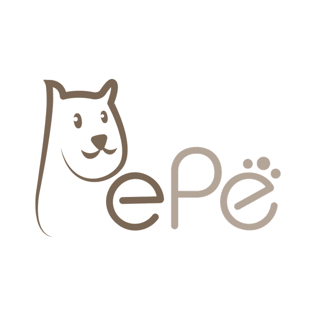 PEPE INC logo