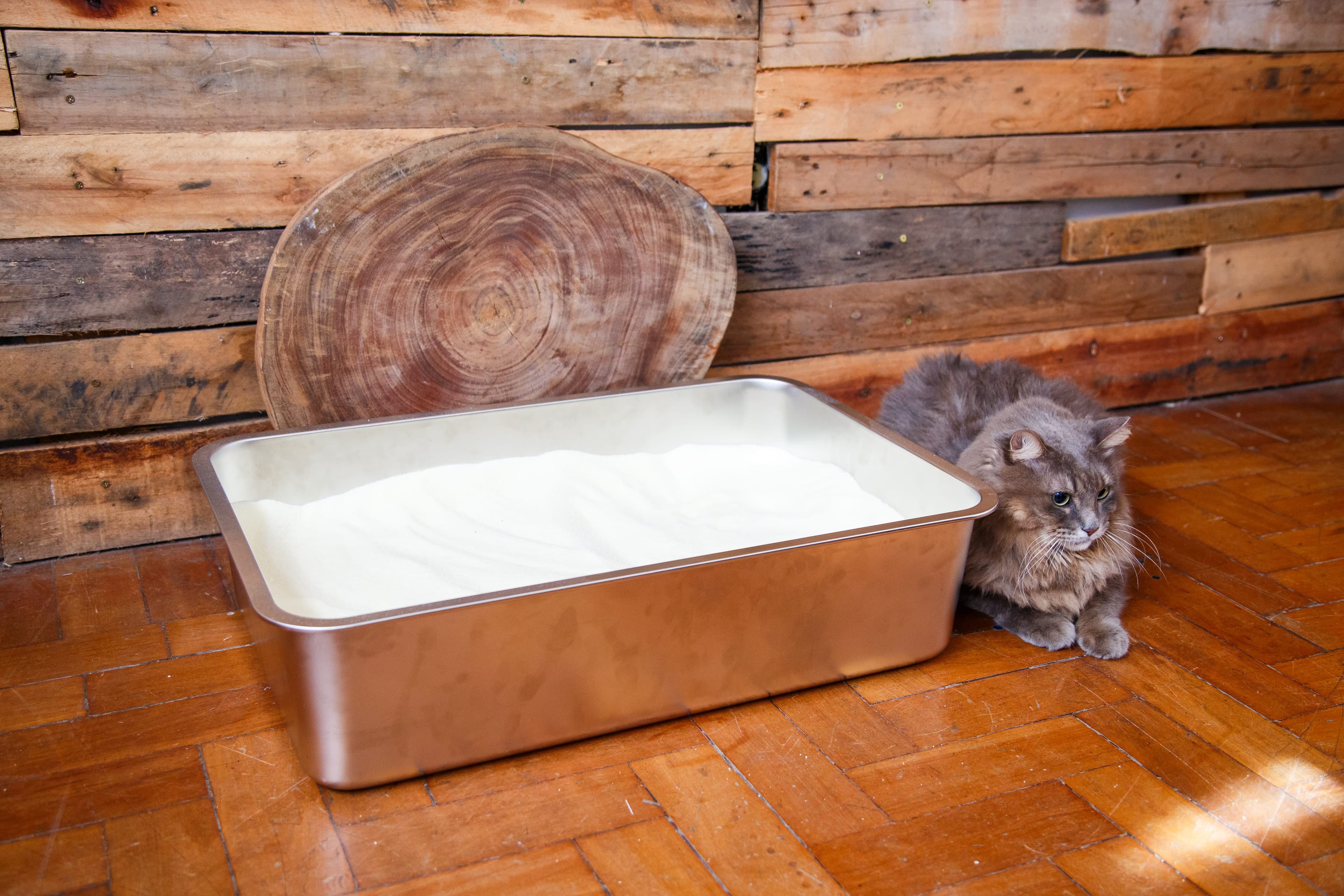 Sustainably Yours Cat Litter