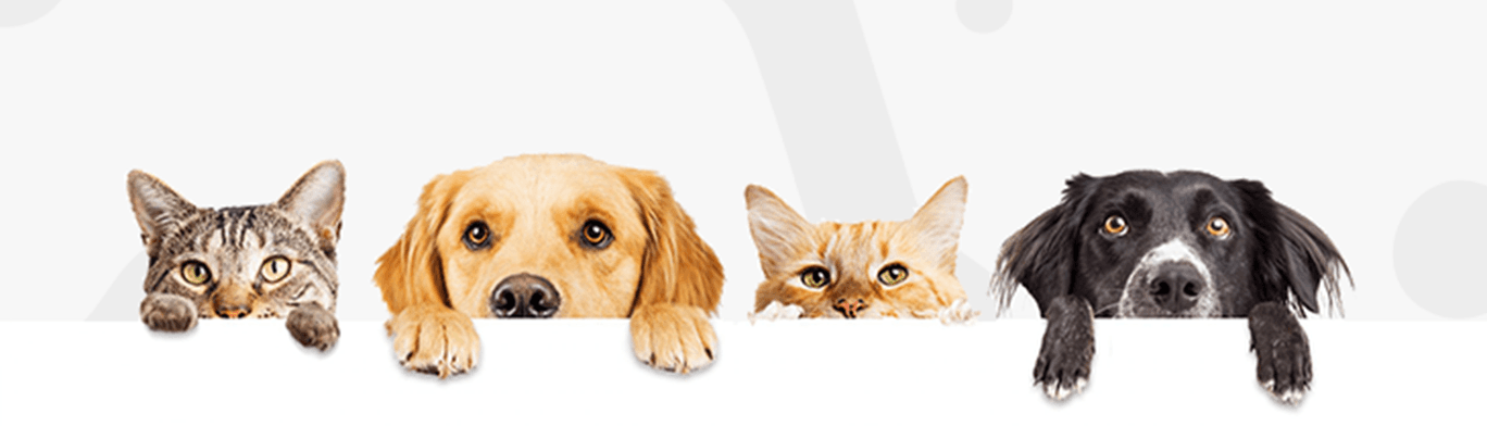 Homie Pet Food