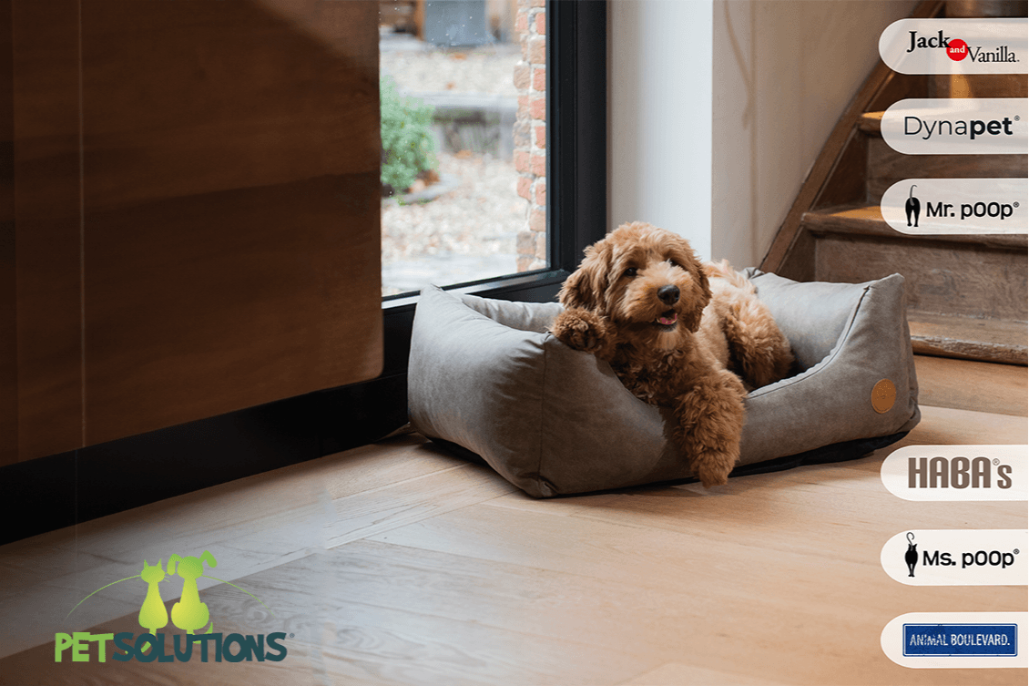 Petsolutions NV