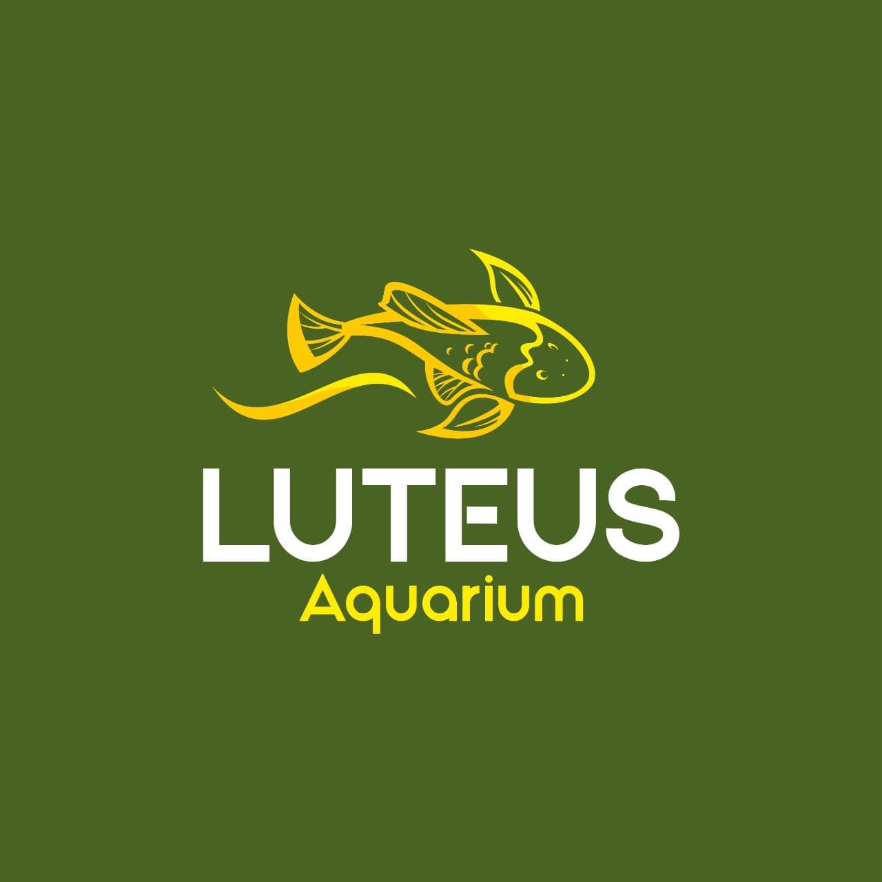 Pleco Brazil LTDA logo