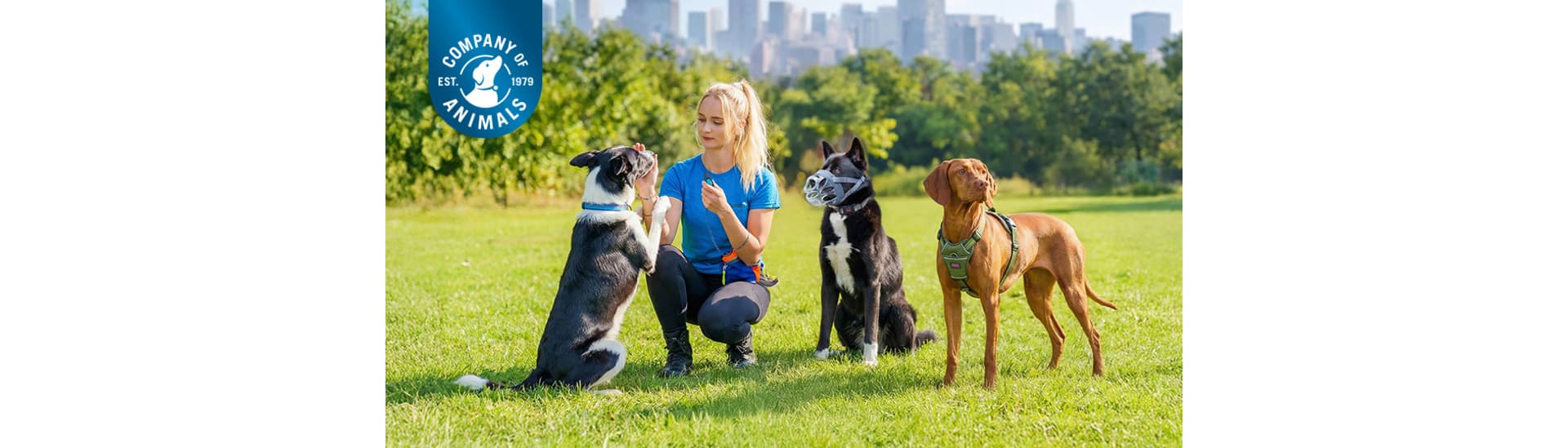 Company of Animals Ltd