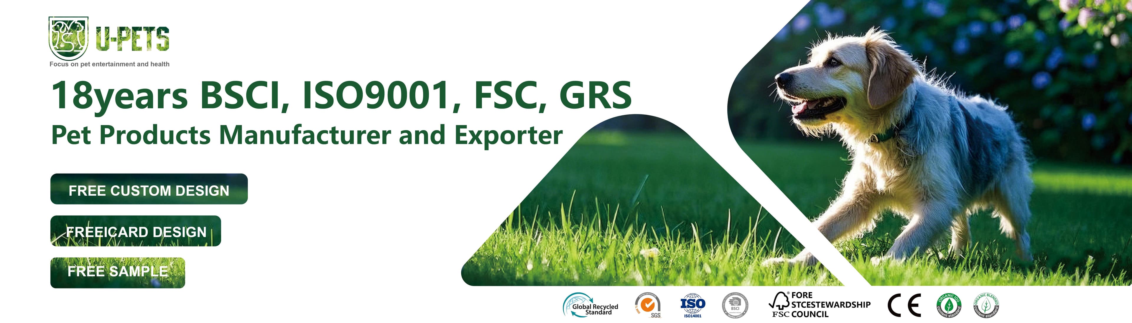 Shanghai Langyi Enterprise Development Co., Ltd