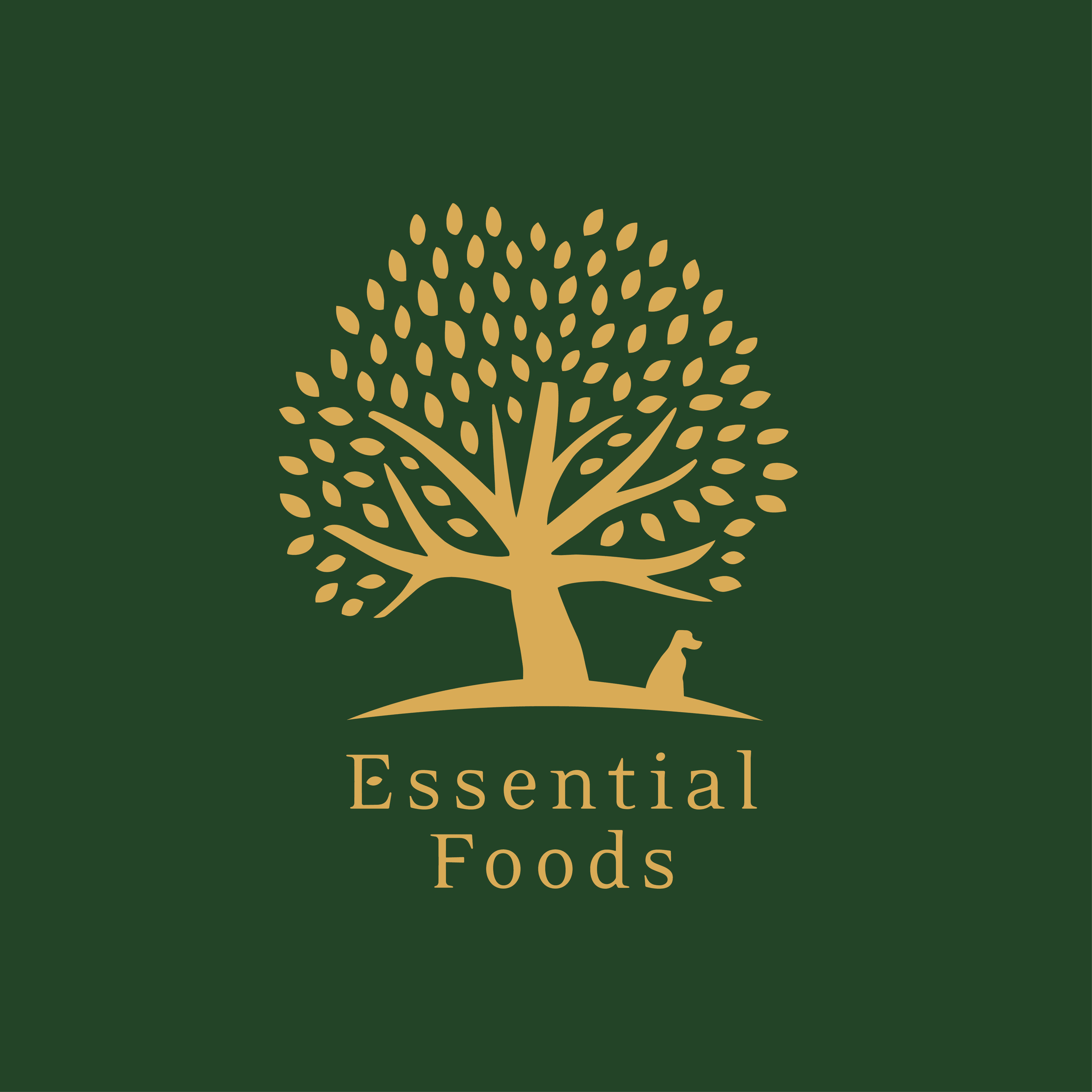 Essential Foods International logo