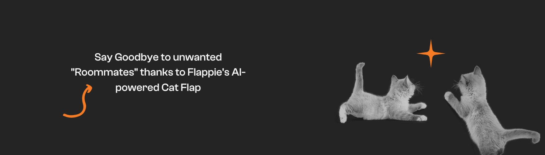 Flappie Technologies