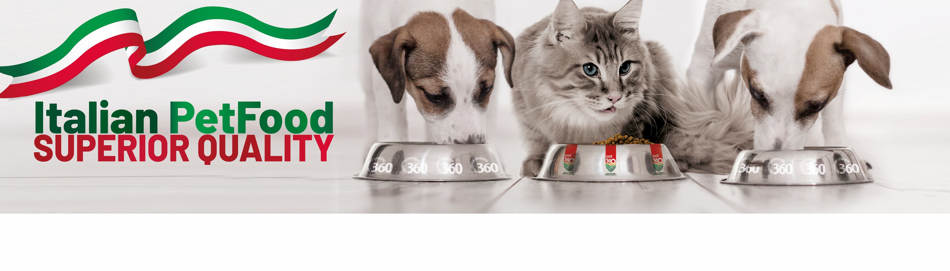 PET 360 SRL
