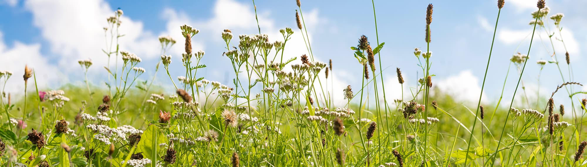 Heuland & Friends GmbH