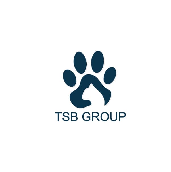 TSB GROUP CO., LTD. logo