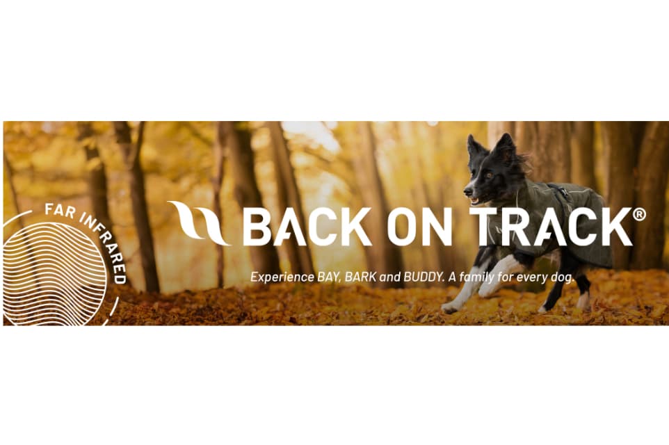 Back on Track GmbH