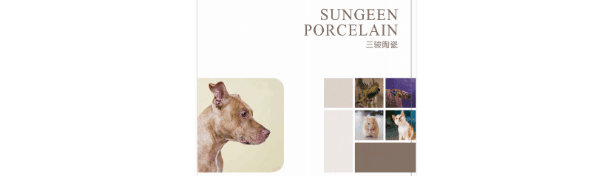 Dehua Sungeen Leisure Porcelain Co.,Ltd