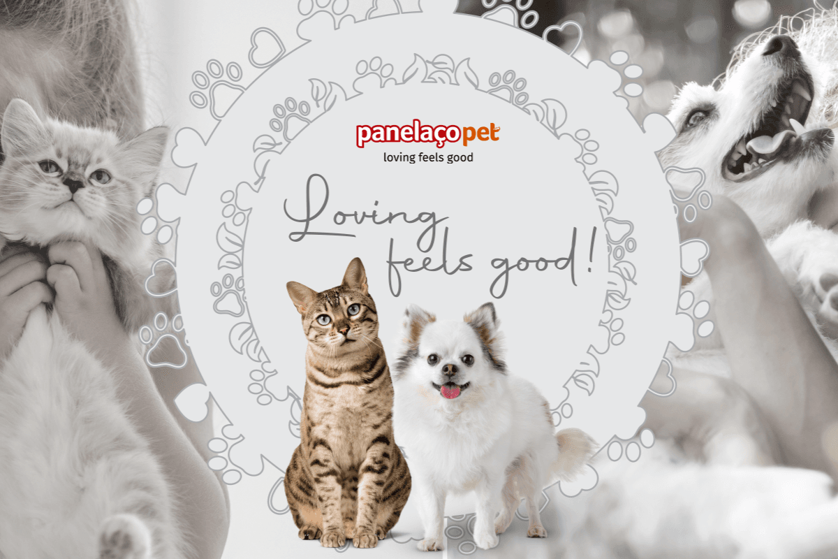 Panelaço Pet