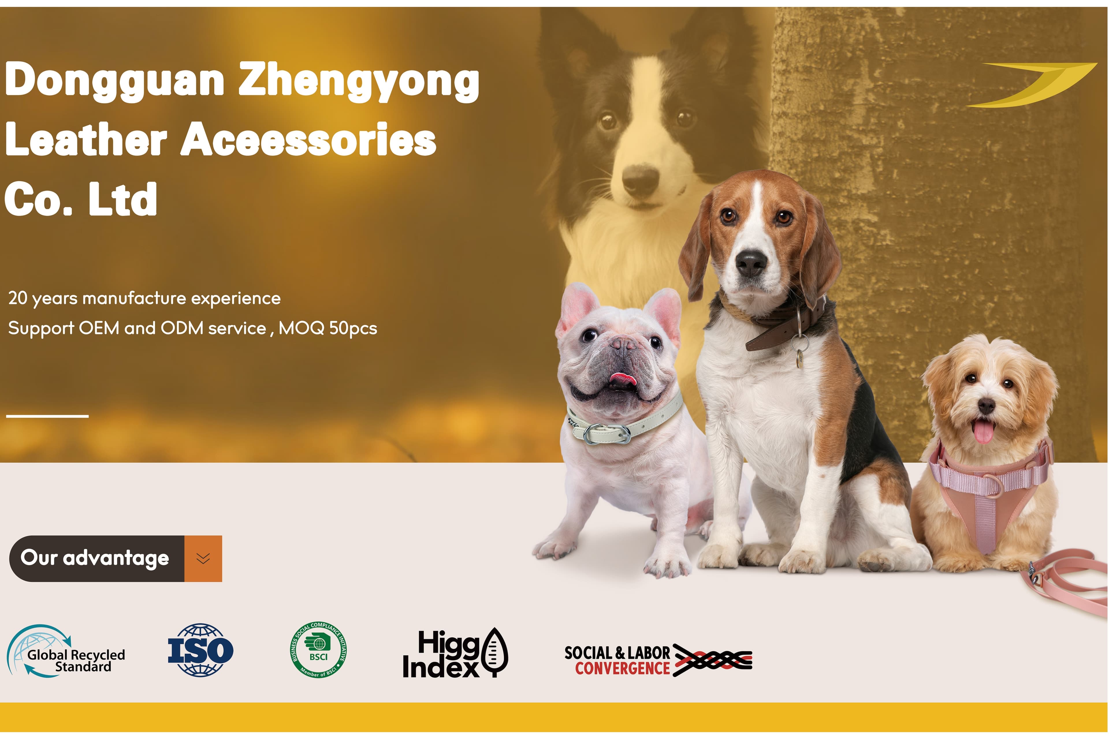 Dongguan Zhengyong Leather Accessories Co., Ltd