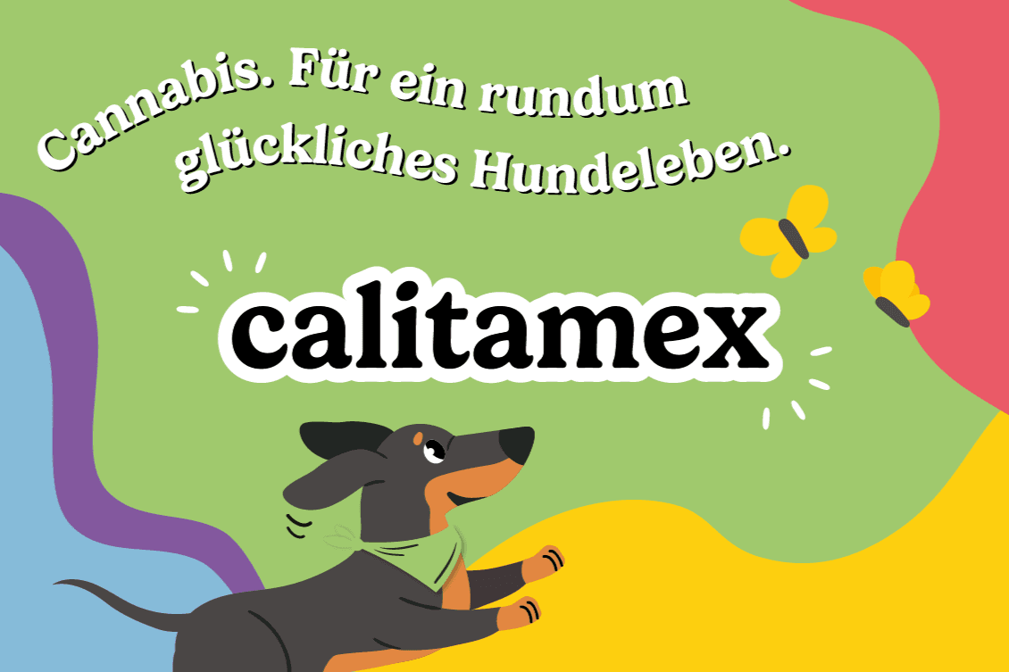 Calitamex