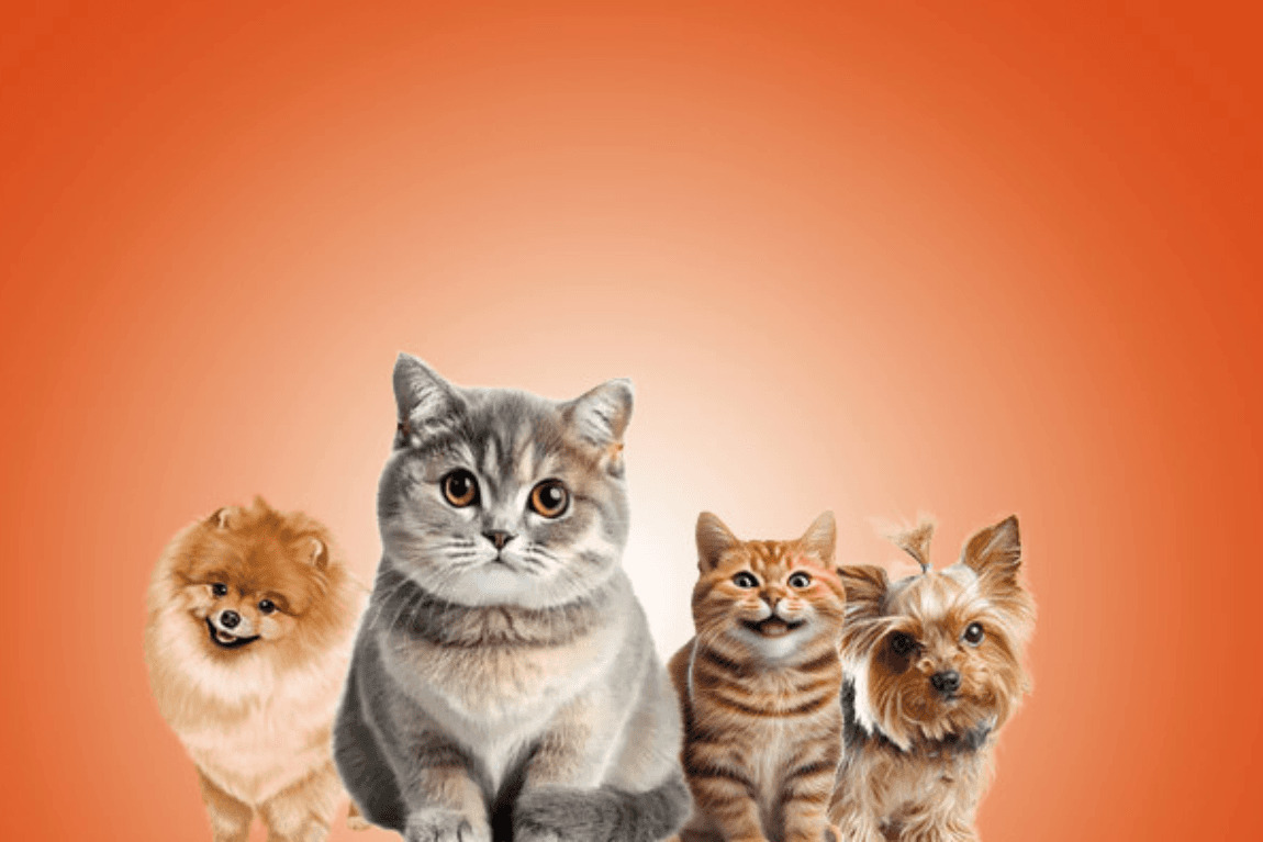 PETFEST SIA
