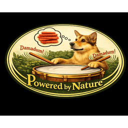 DAMADUM PRODUCTS INDIA PVT LTD