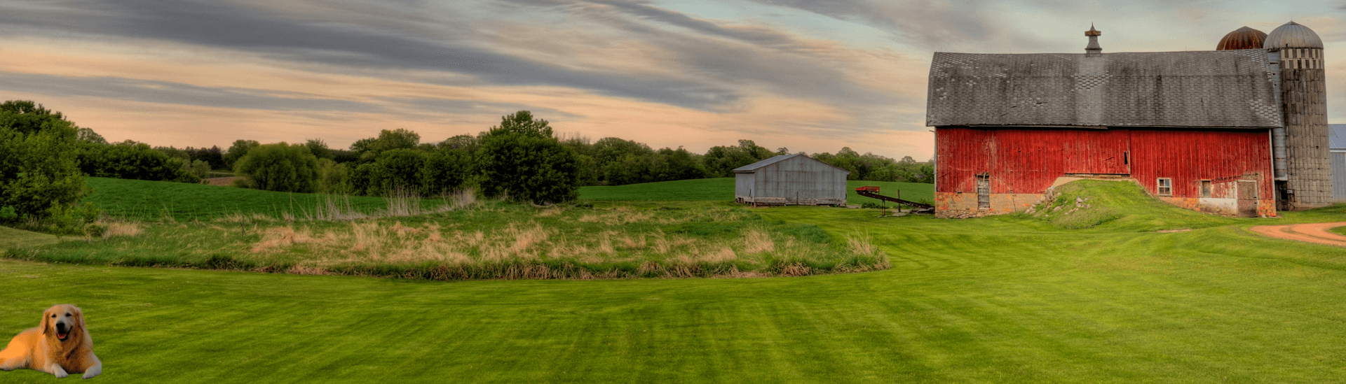Grandma Mae's Country Naturals