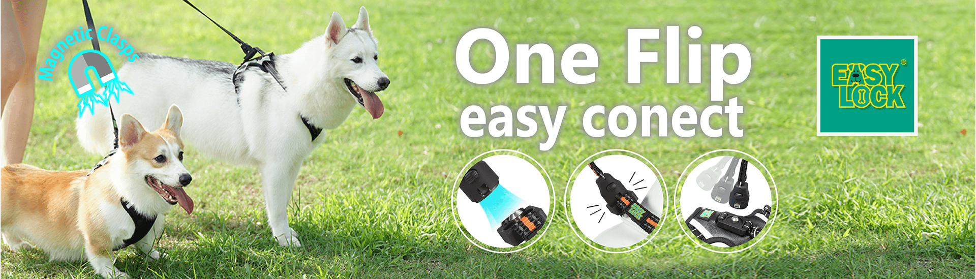 EASY LOCK Co.,Ltd